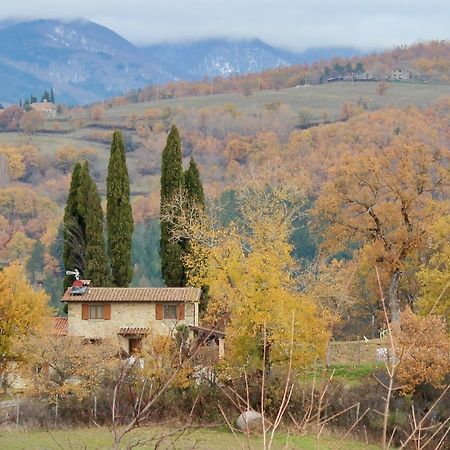 Agriturismo Mandrioli 프라토베키오 외부 사진