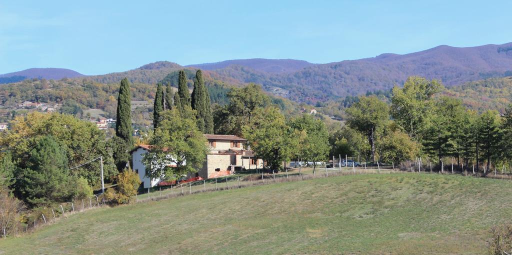 Agriturismo Mandrioli 프라토베키오 외부 사진